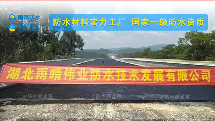PBL改性瀝青高聚物防水涂料 梁子湖PB-1改進(jìn)型橋面防水涂料底價供貨