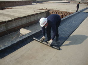 連云港sbs防水卷材供應(yīng),連云港sbs防水卷材供應(yīng)生產(chǎn)廠家,連云港sbs防水卷材供應(yīng)價(jià)格