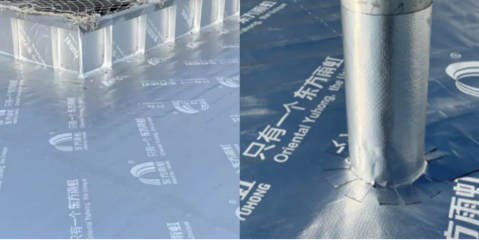 東方雨虹再獲金禹獎(jiǎng),攜手寶馬續(xù)寫(xiě)合作新篇章